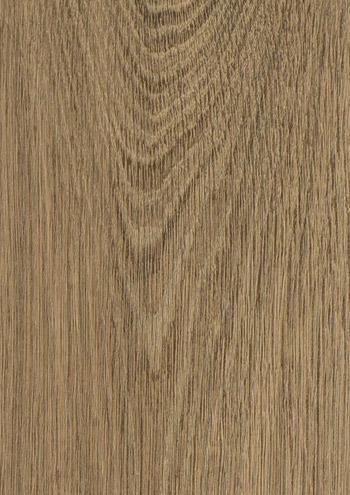 Turner Oak Amber